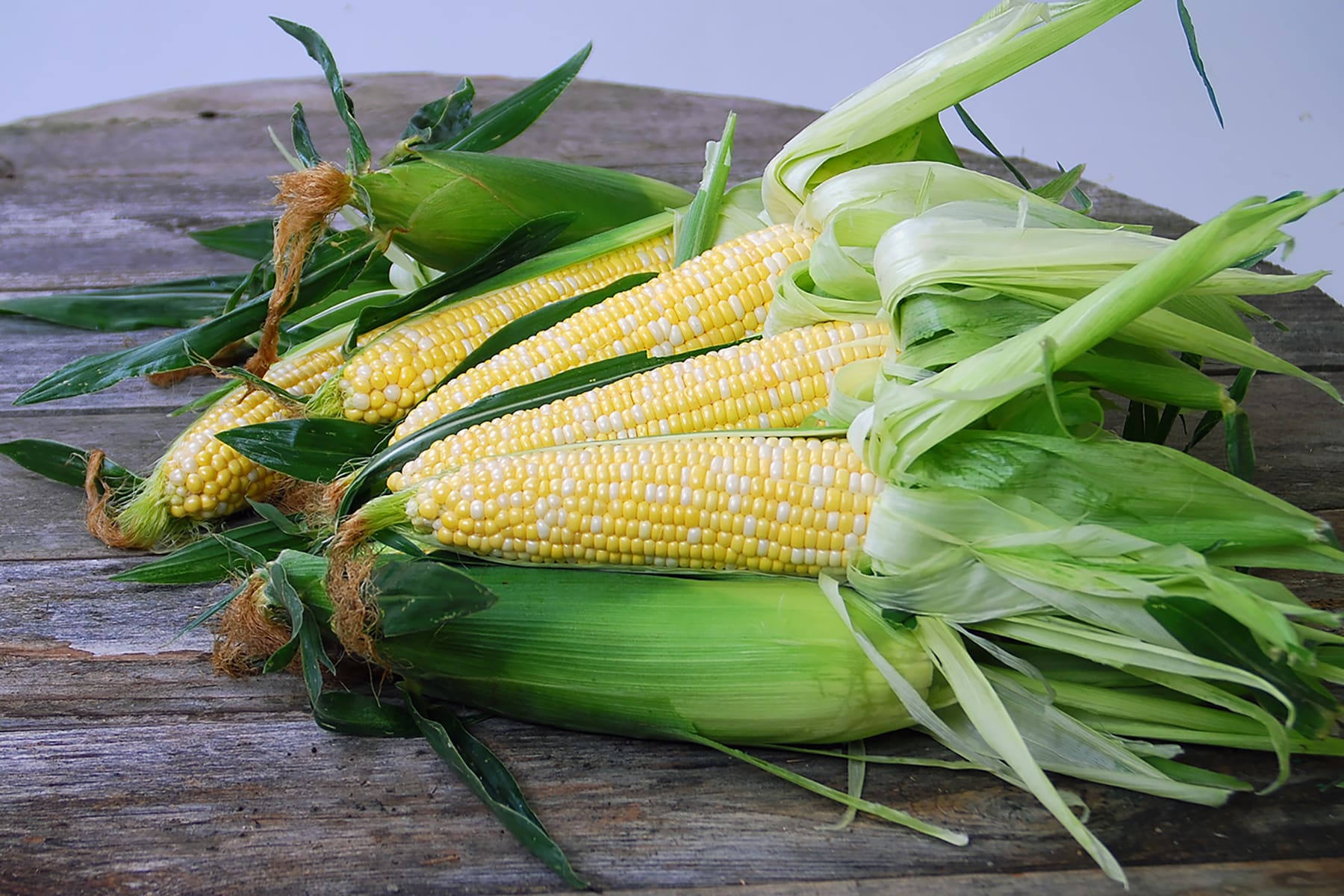 Xanadu Sweet Corn (Not Treated)