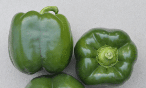 Autry Bell Pepper (Treated Seed)