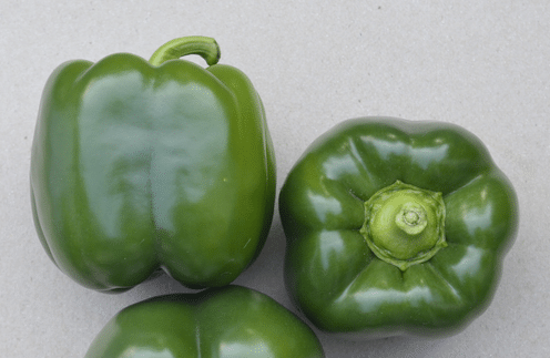 Autry Bell Pepper (Treated Seed)