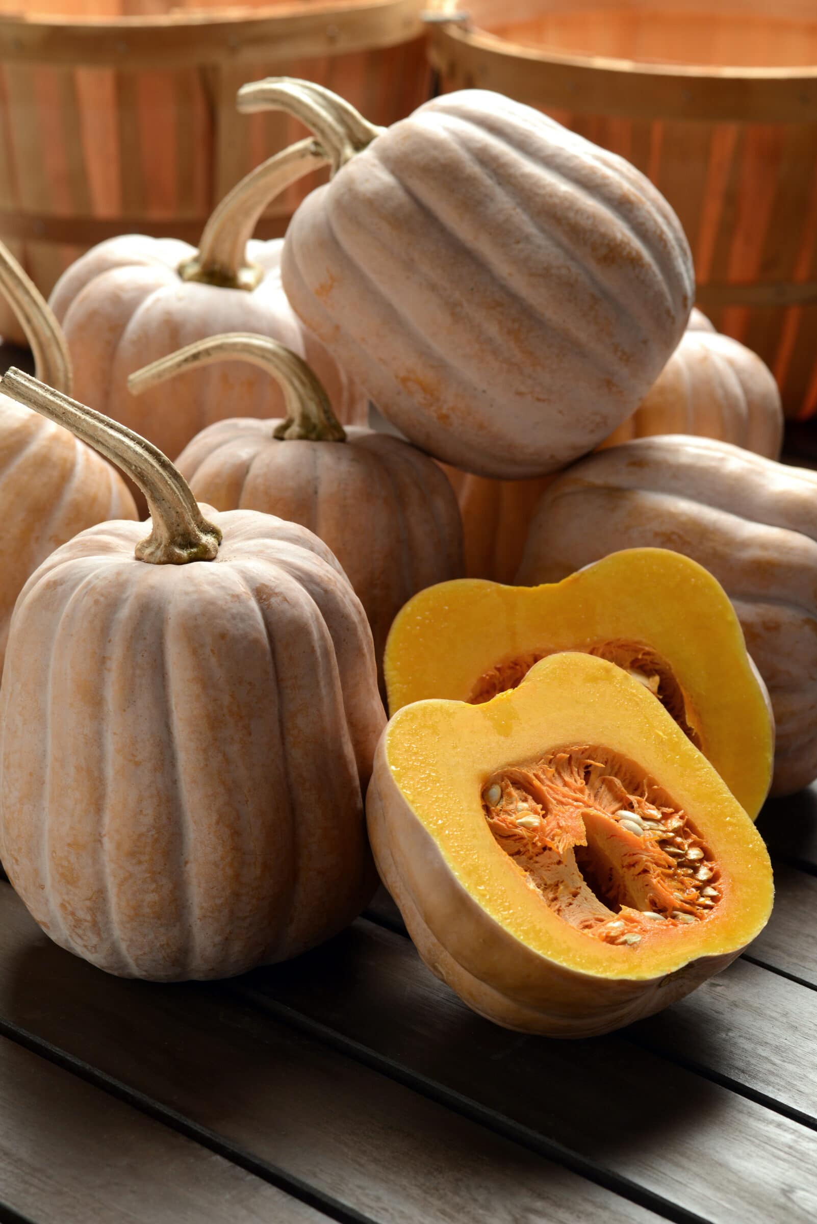 Autumn Frost Squash (Not Treated)