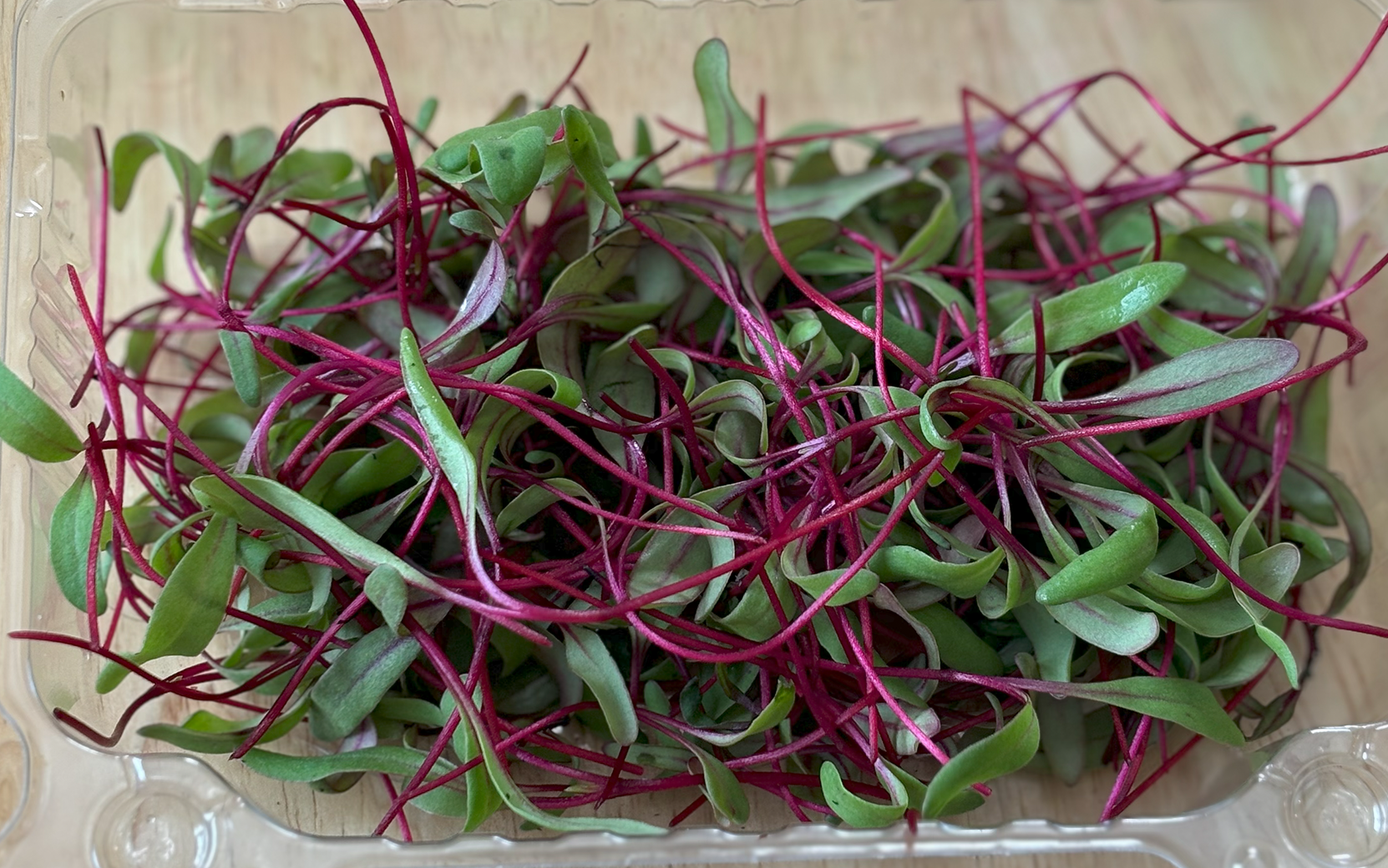 Detroit Dark Red Beet (Not Treated) - Image 4