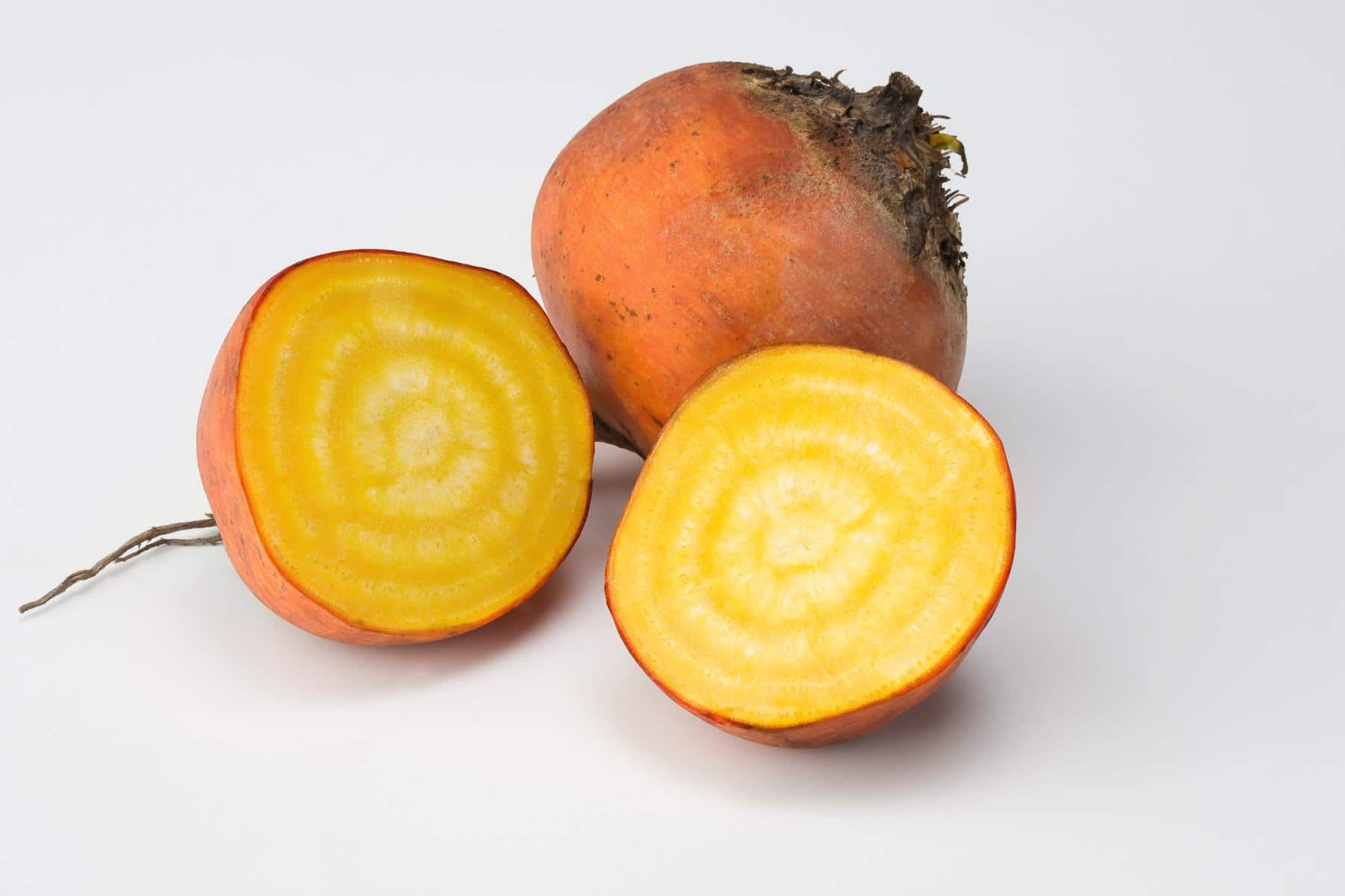 Boldor Beet (Not Treated)