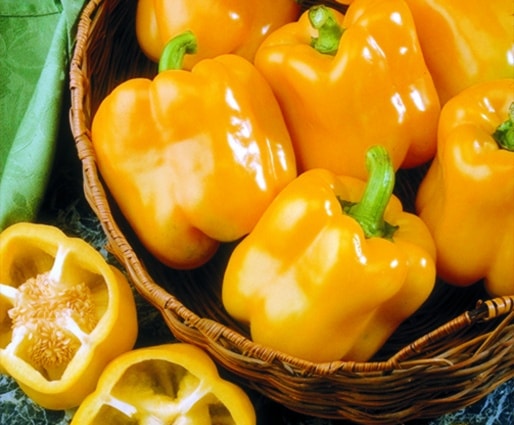 Early Sunsation Bell Pepper (Treated)