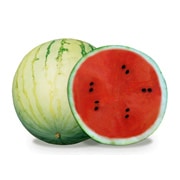 Minipool Pollinator (Treated Seed)