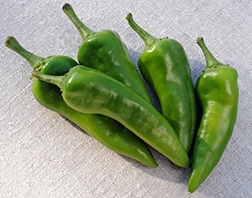 Mosco Hot Pepper (Treated Seed)