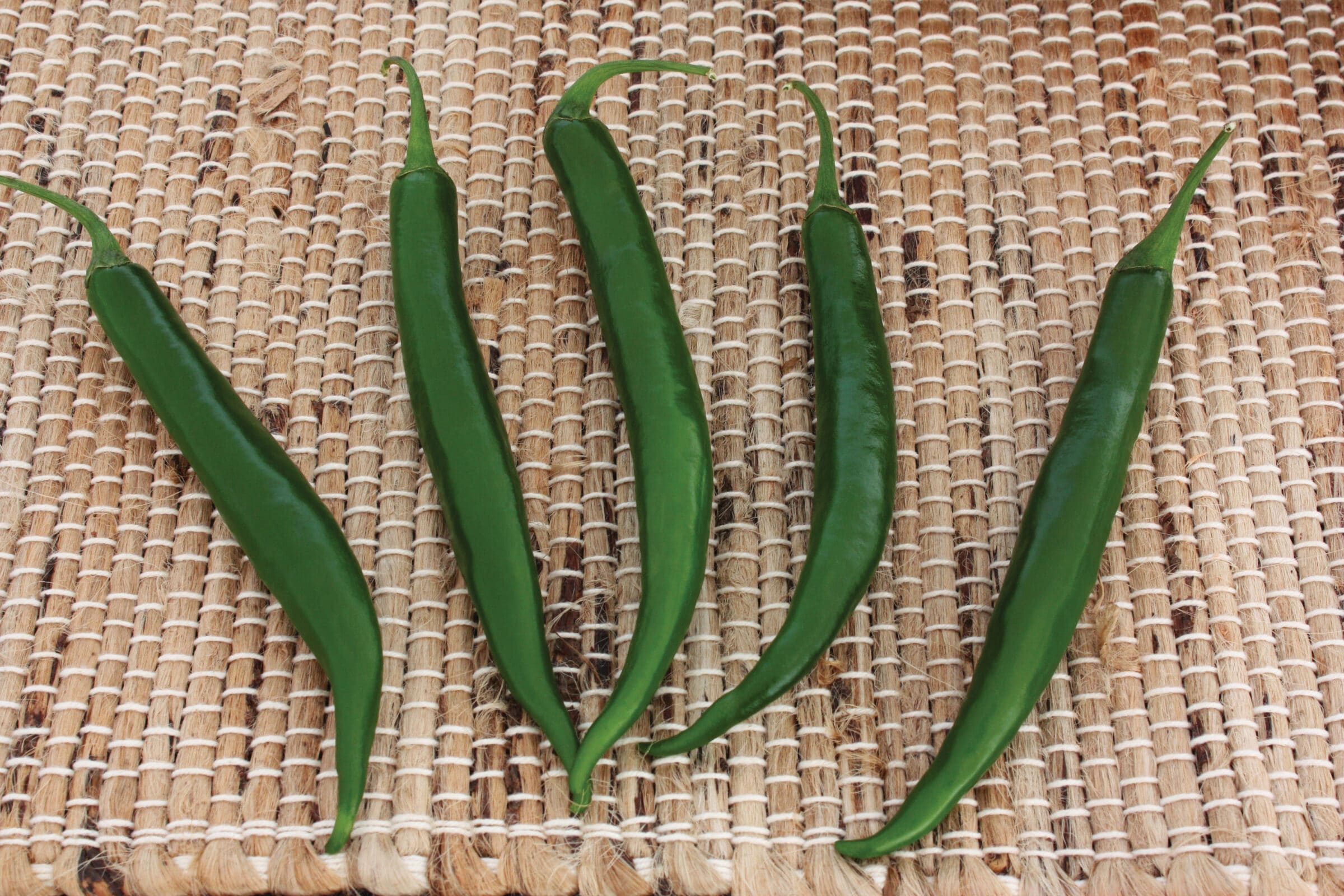 Crackle Hot Pepper (Not Treated)