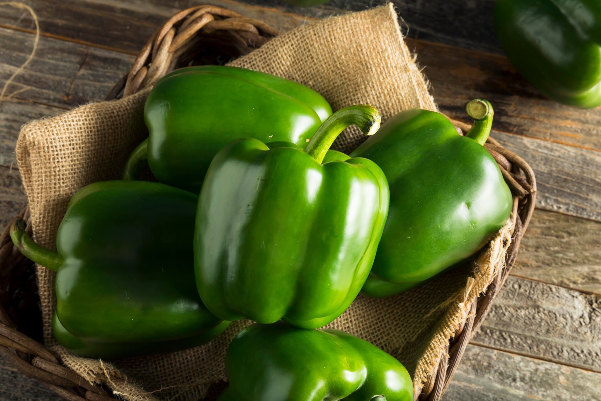 Placepak Bell Pepper (Treated Seed)