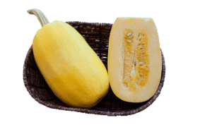 Primavera Squash (Farmore)