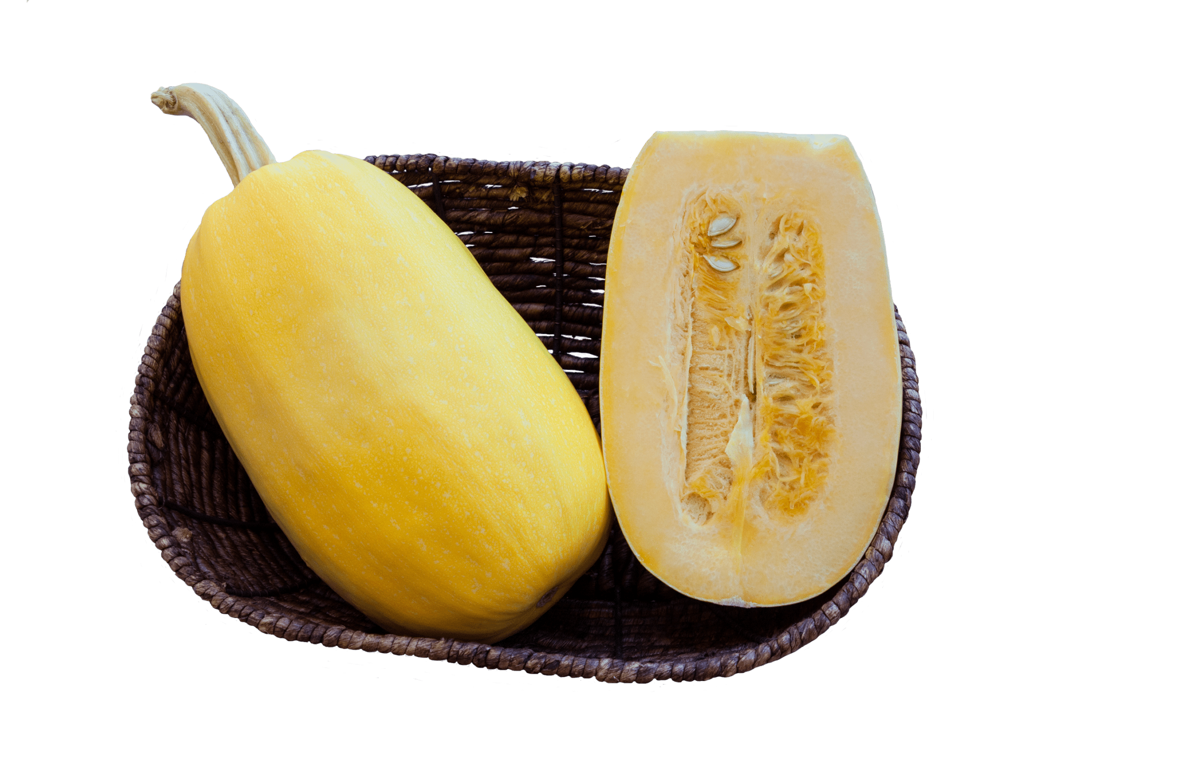 Primavera Squash (Farmore)