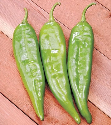 Sahuaro Anaheim Pepper (Treated Seed)