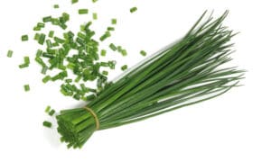 Chives (Not Treated)