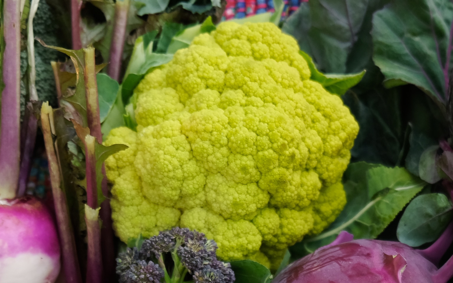 Vitaverde Cauliflower (Not Treated)