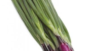Apache Bunching Onion (Not Treated)