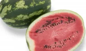 Delta Watermelon (Farmore Treated Seed)