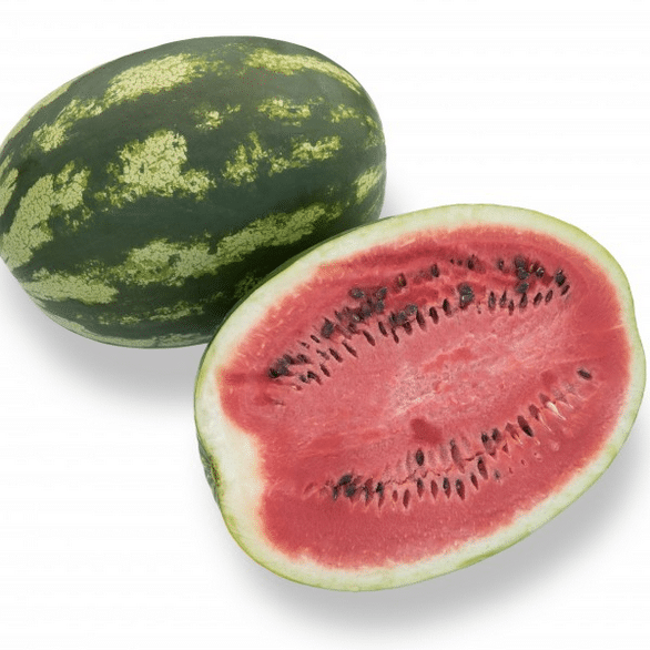 Delta Watermelon (Farmore Treated Seed)
