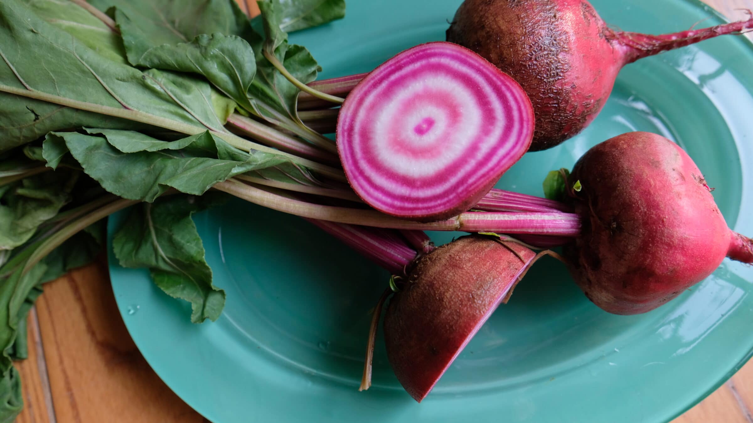 Anello Beet (Treated Seed) - Image 2