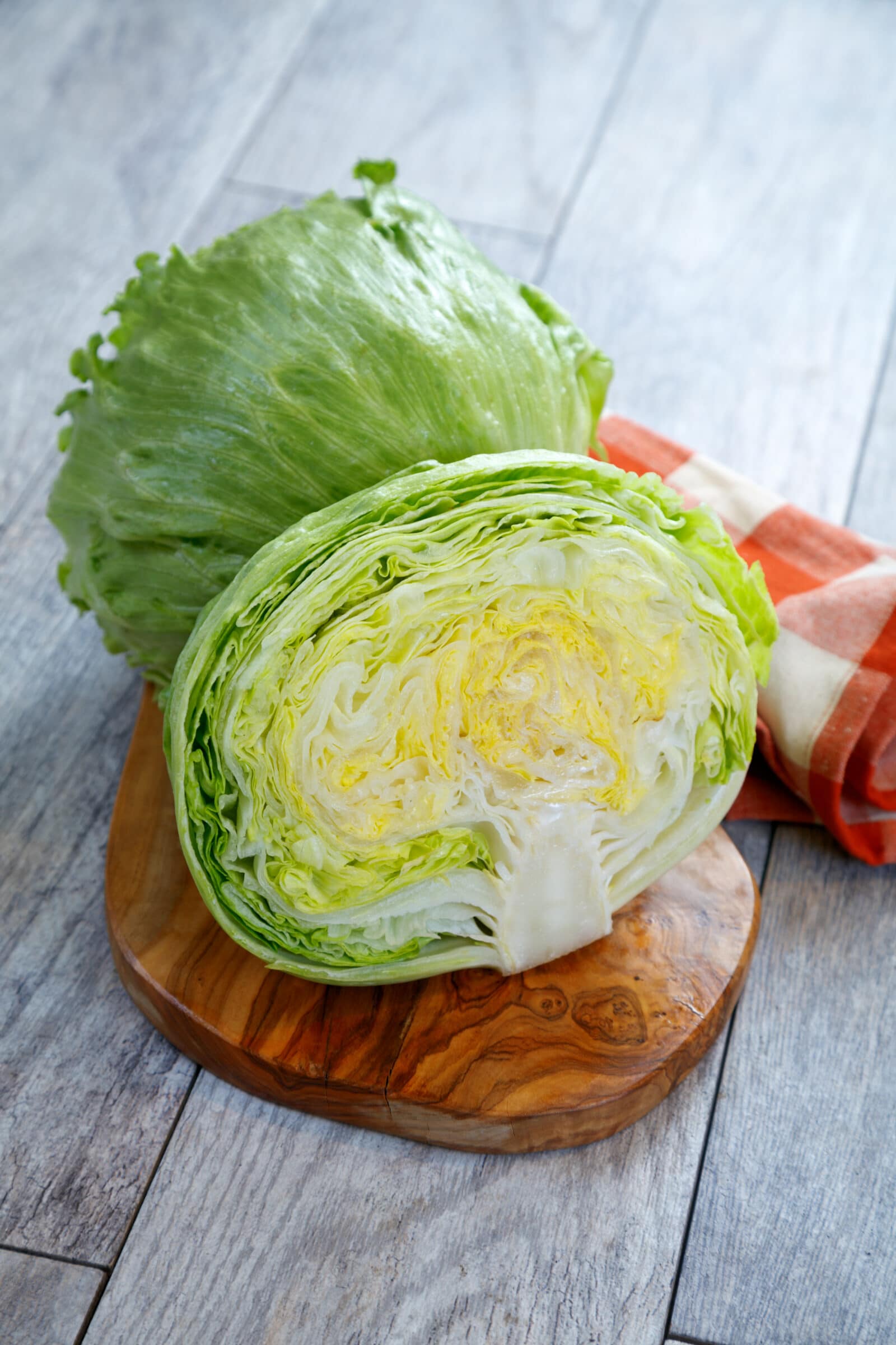 Meridian Lettuce (Primed, Pelleted) - Image 2