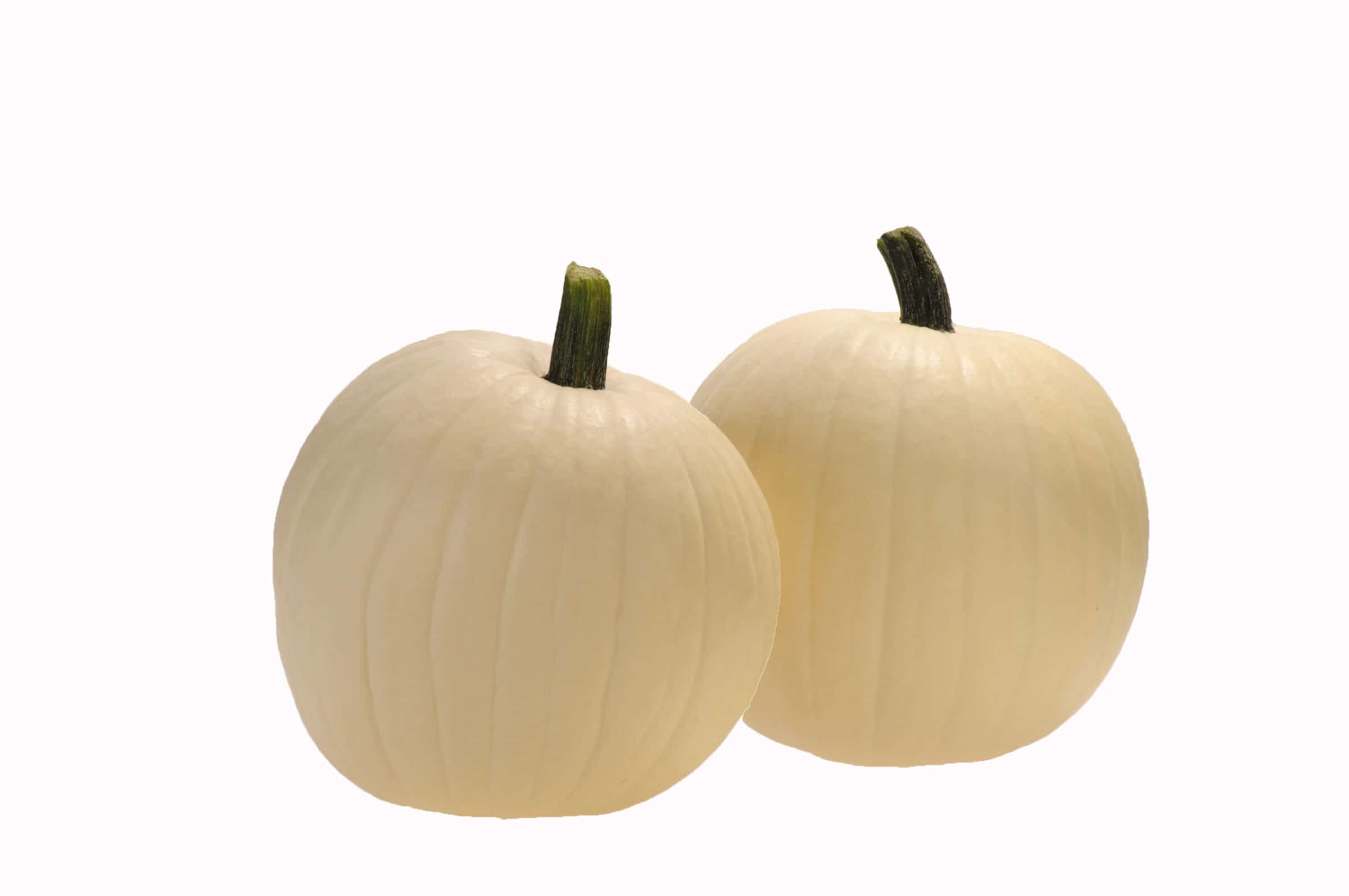 Moon Beam Pumpkin (Treated Seed)