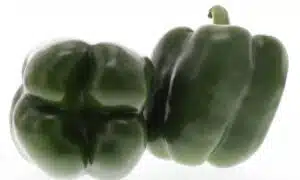 Tarpon Bell Pepper (Treated Seed)