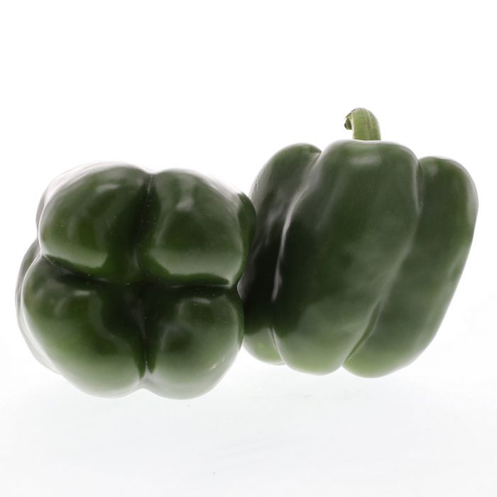 Tarpon Bell Pepper (Treated Seed)