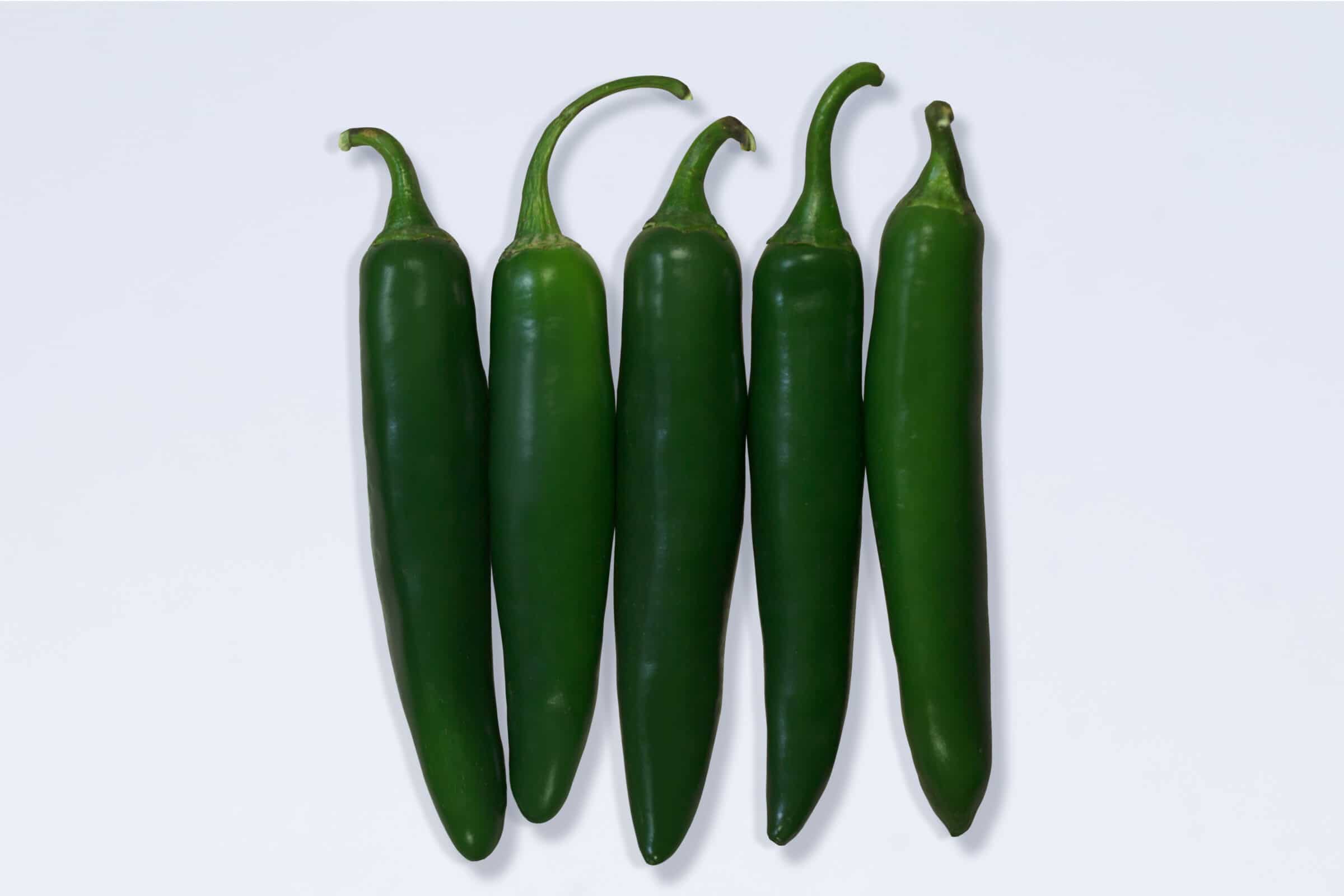 Pathfinder Pepper (Not Treated)