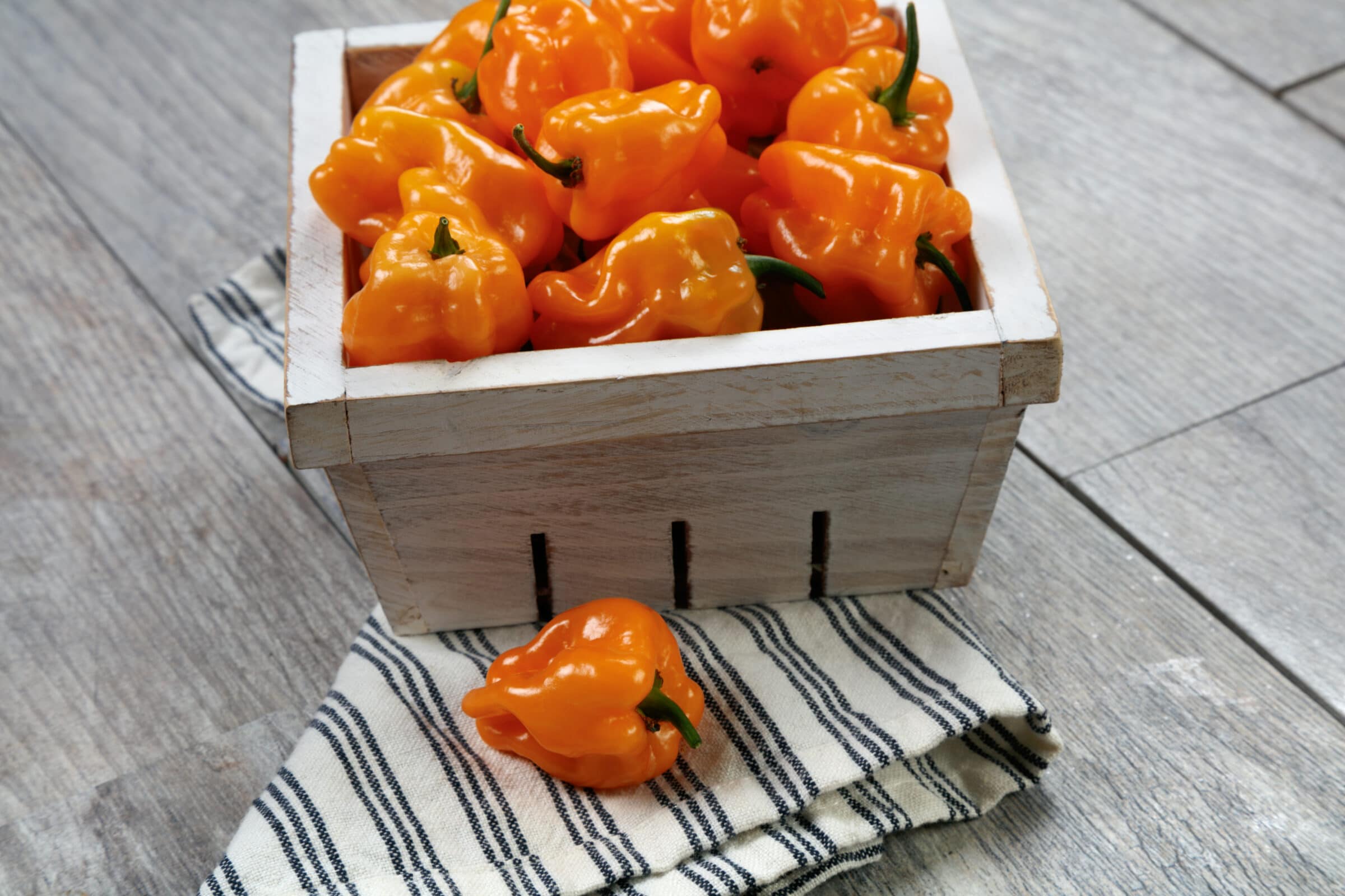 Chaak Pepper (Not Treated)