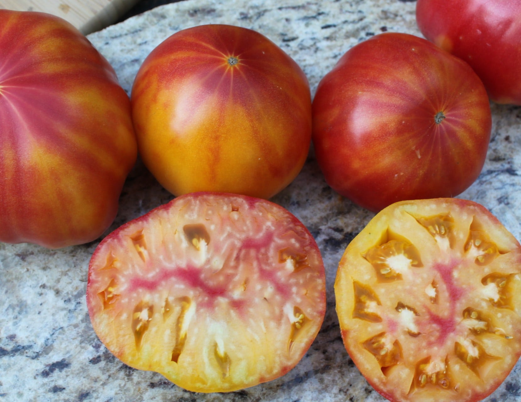 Mister Stripey Tomato (Treated)