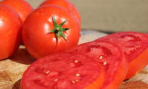 Big Beef Plus Tomato (Not Treated)