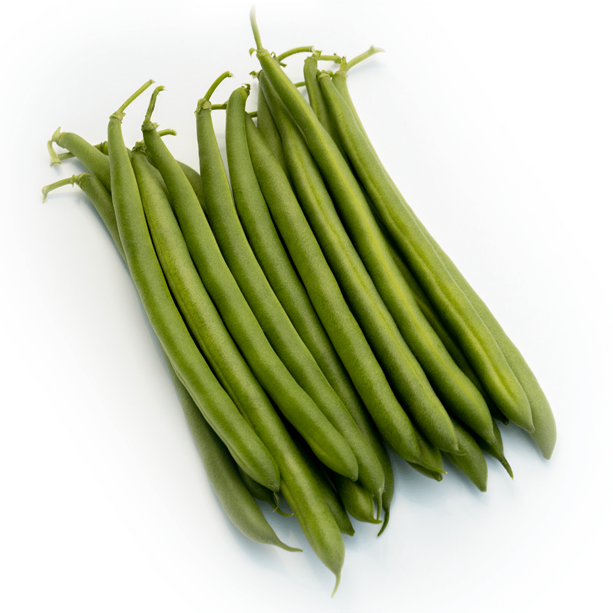 Lunar Green Pod Bush Bean (Not Treated)
