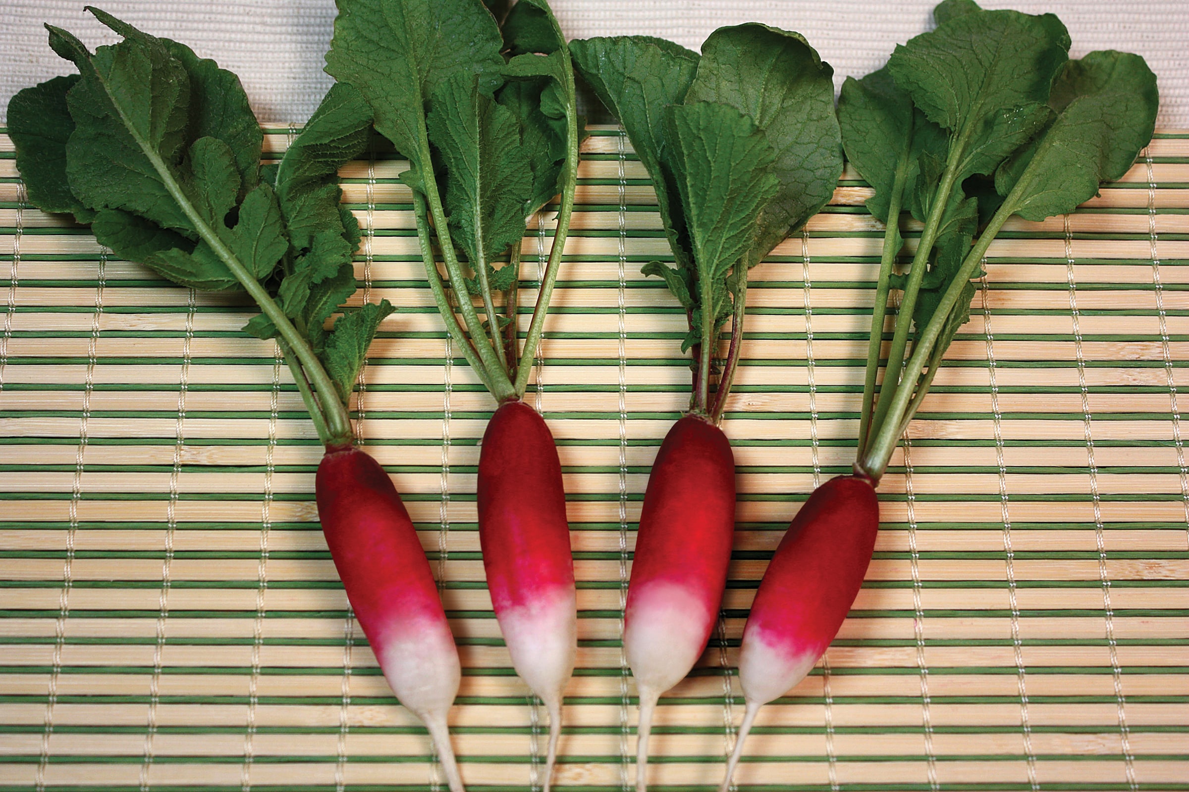 French Breakfast Radish (Treated Seed)