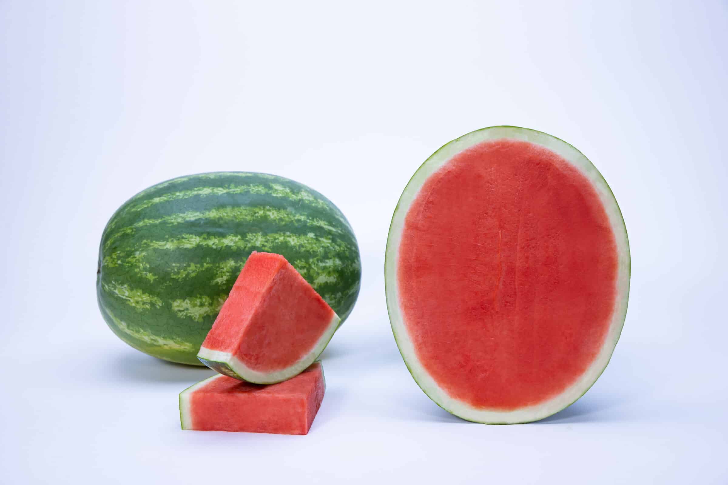 Valor Watermelon (Primed)