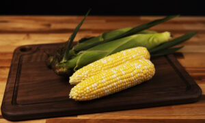 Matriarch Sweet Corn (Attribute II) (Cruiser Treated)