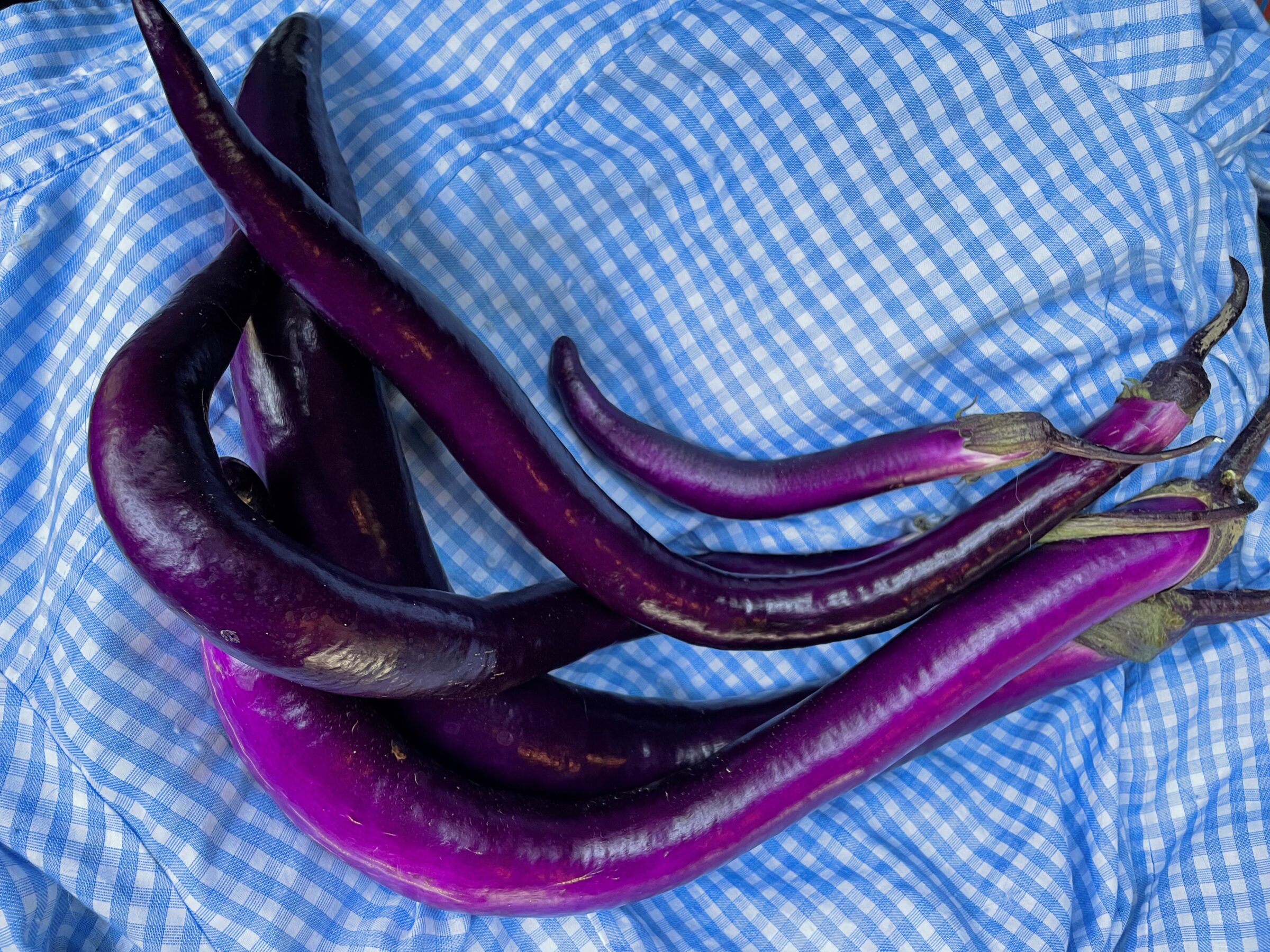 Super Violet Eggplant (Not Treated)