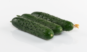 Braga Cucumber (Not Treated)