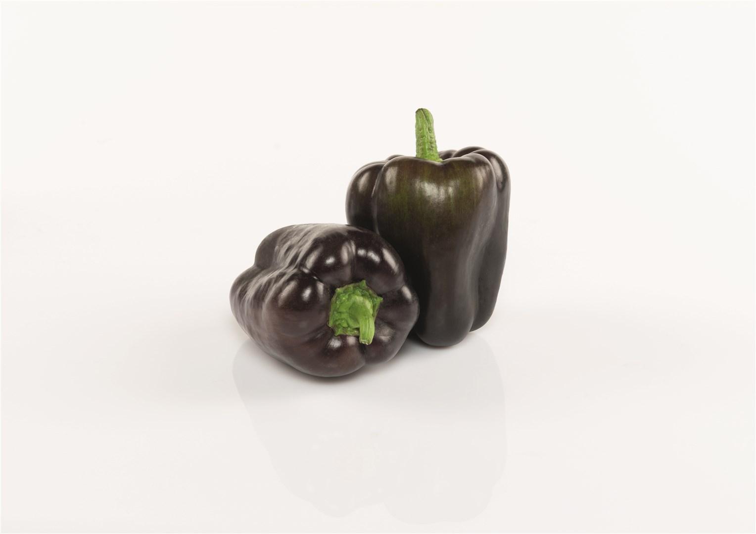 Dragonfly Bell Pepper (Not Treated)