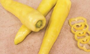 Cavalcade Banana Pepper (Treated Seed)