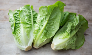 Little Gem MTO Lettuce (Not Treated)