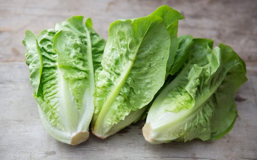 Little Gem MTO Lettuce (Not Treated)