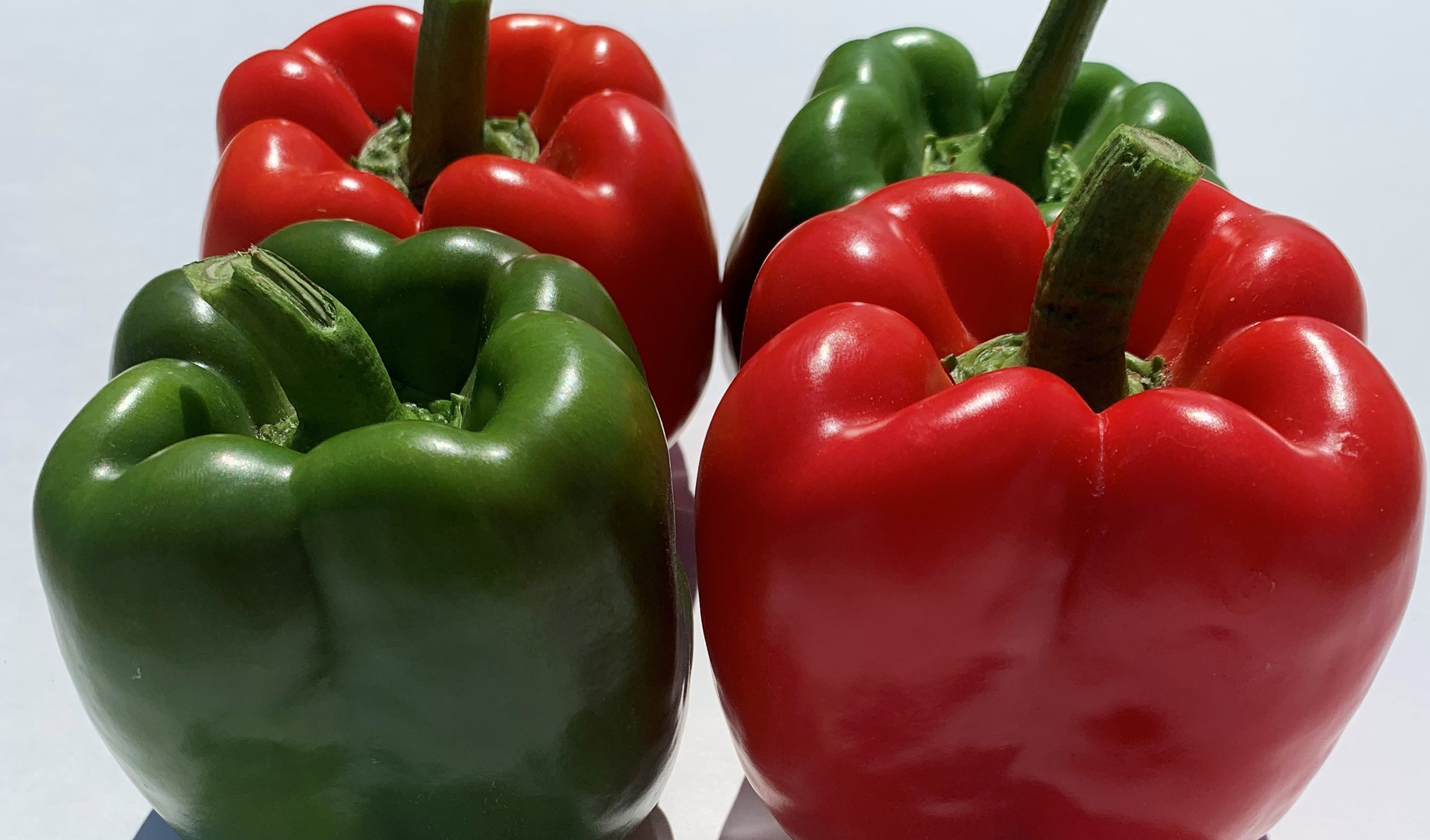 Redfish Pepper (Treated Seed)