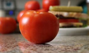 Celebrity Plus Tomato (Not Treated)