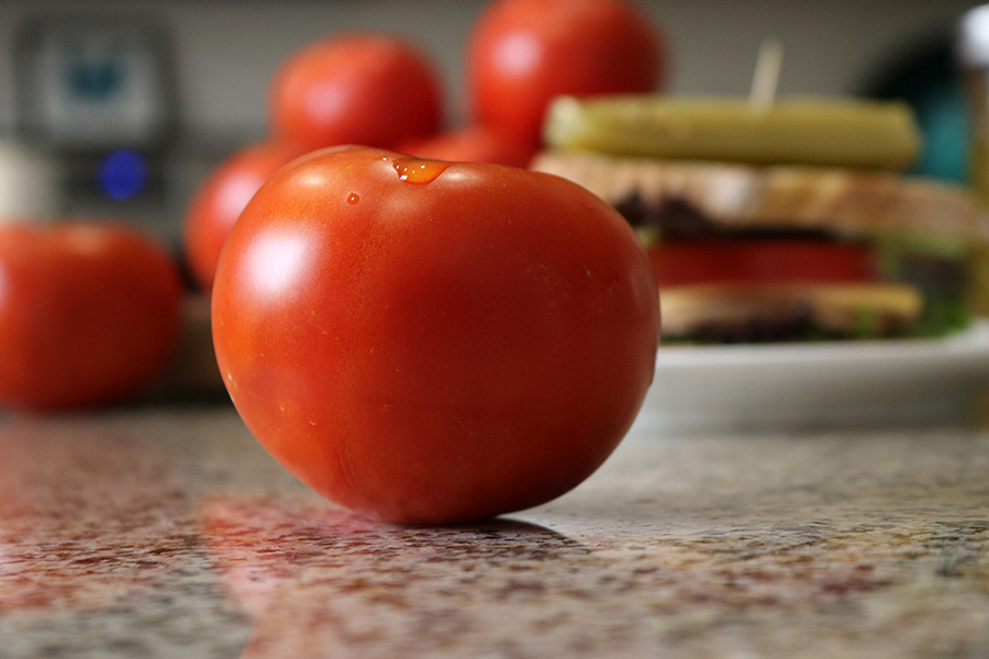 Celebrity Plus Tomato (Not Treated)
