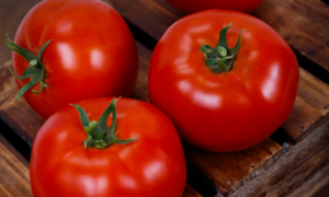 Firebird Tomato (Not Treated)
