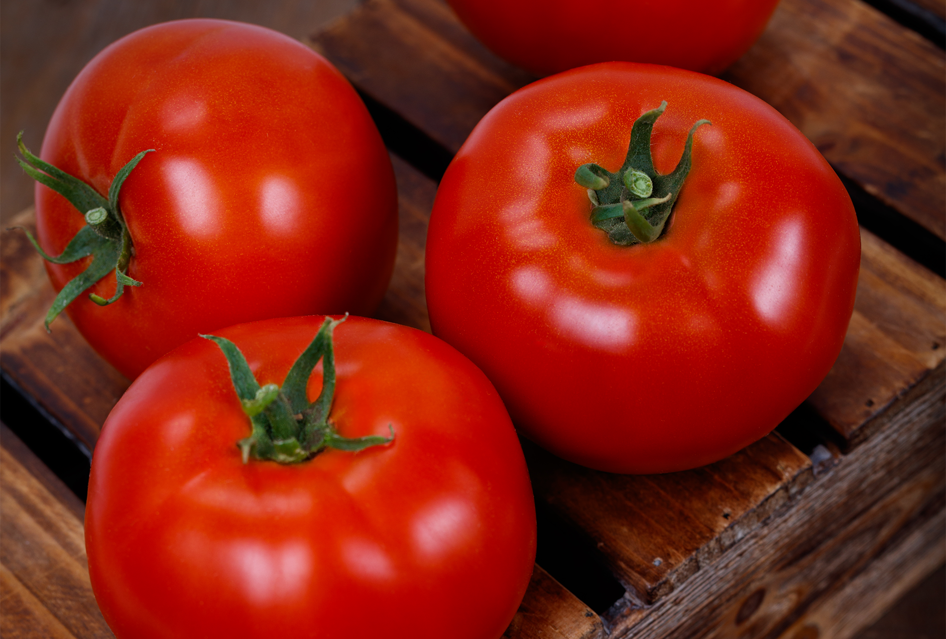 Firebird Tomato (Primed & Pelleted)
