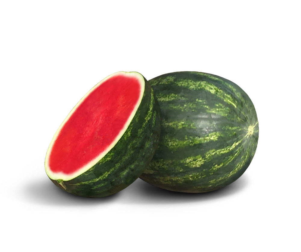 Essence Watermelon (Treated Seed)