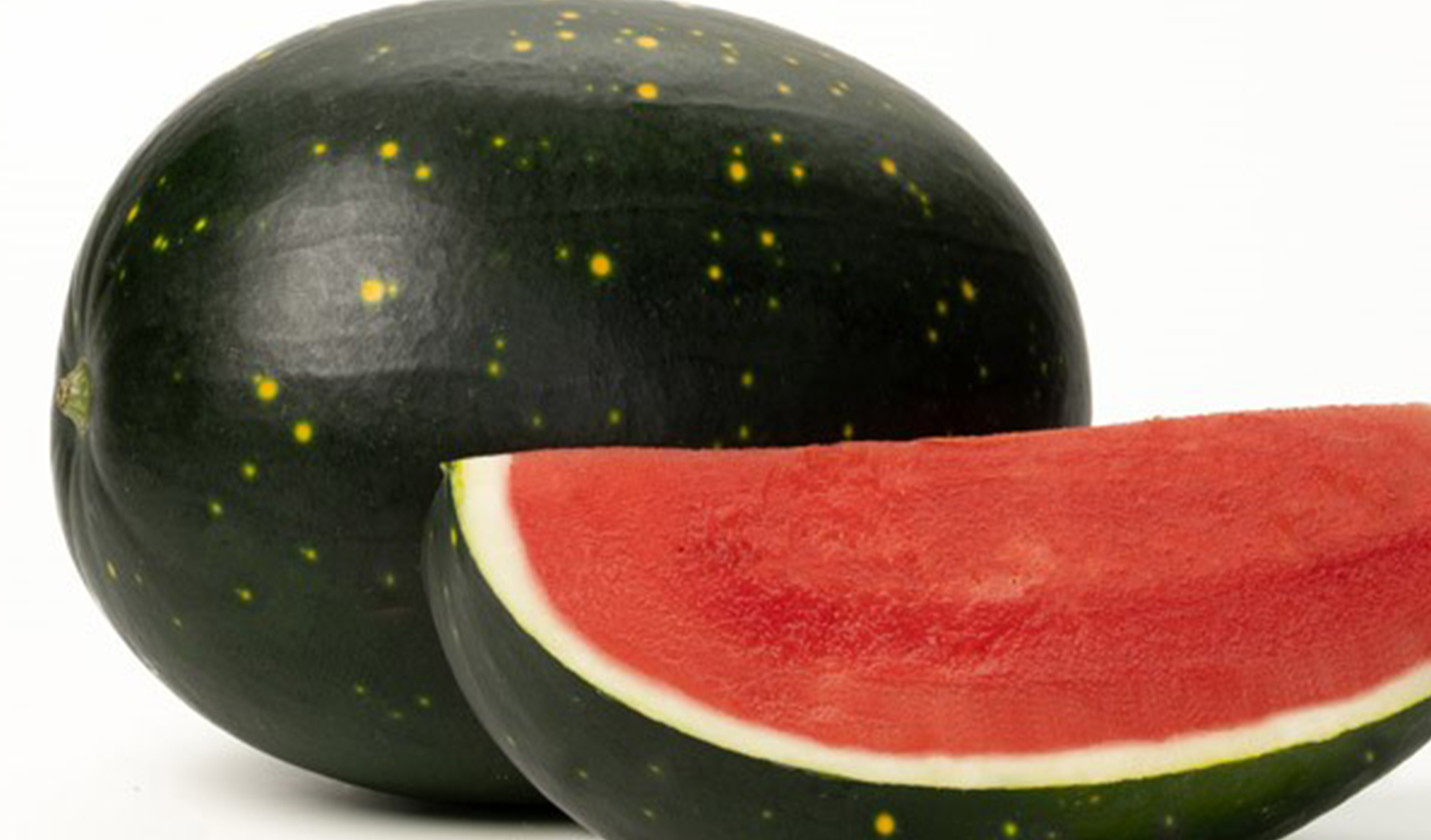 Starship Watermelon (Farmore)
