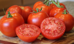Better Boy Plus Tomato (Not Treated)