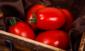 Kuzco Tomato (Not Treated)