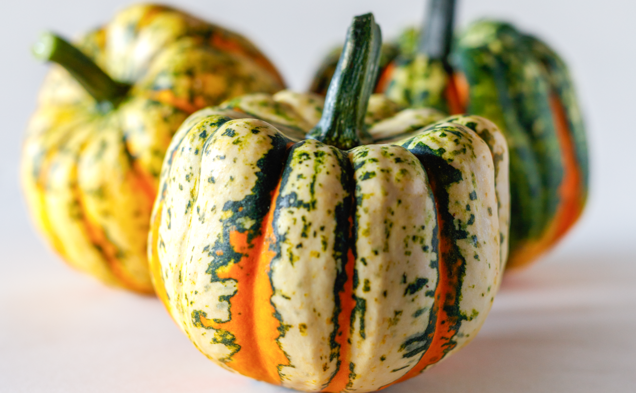Thriller Squash (Not Treated)