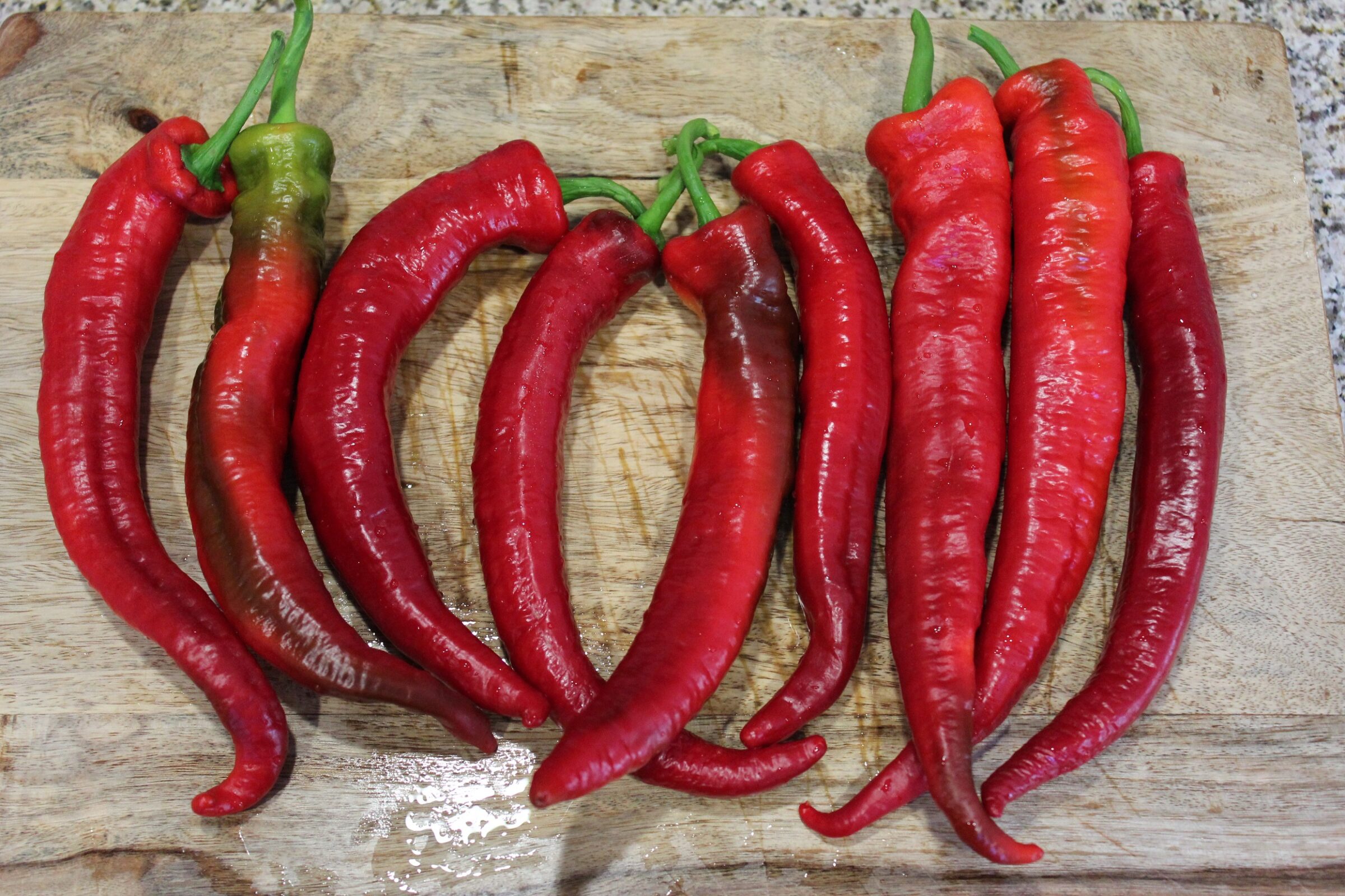 Wildcat Cayenne Pepper (Treated Seed)