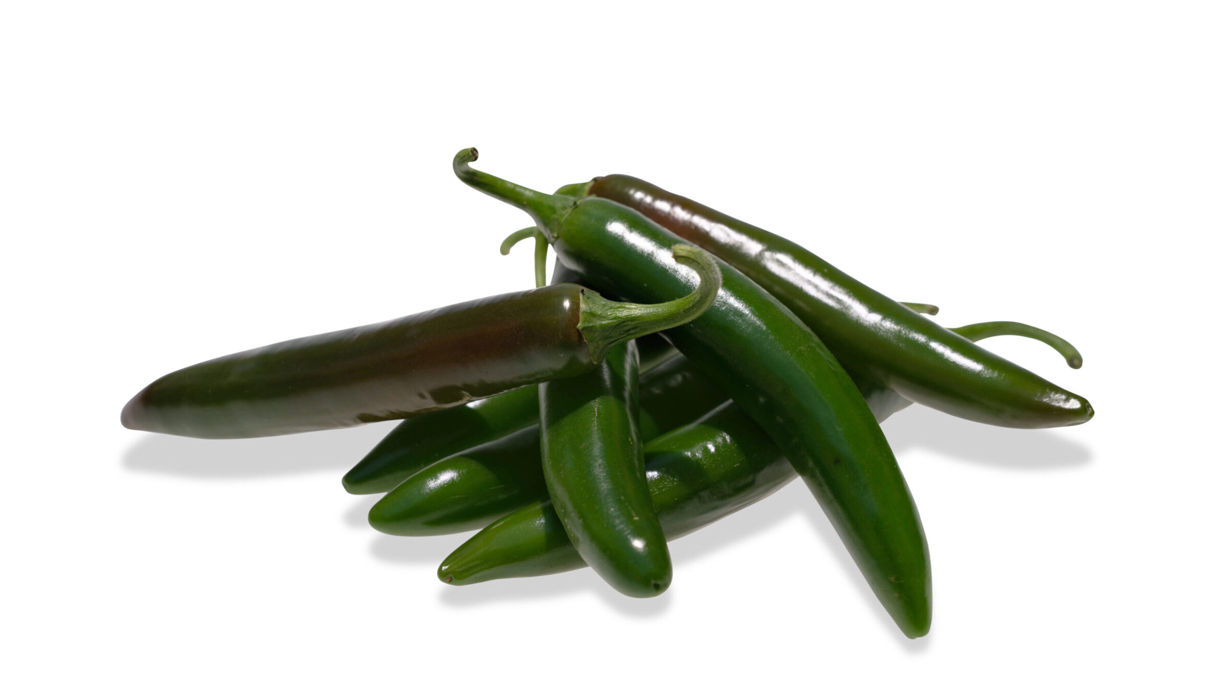 Altiplano Serrano Pepper (Treated Seed)